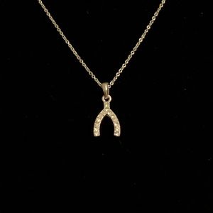 Dainty Wishbone Necklace